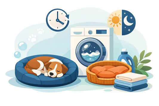 Wie oft Hundebett waschen? Der richtige Rhythmus