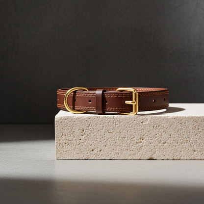 Leder Halsband für Hunde
